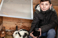 NAJMLAĐI BIZNISMEN U SRPSKOJ: Branko Antić (11) iz Modriče prodaje prepeličja jaja