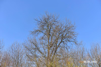 Nakon snijega, stiže kratko proljeće: Narednih dana stabilizacija vremena u BiH