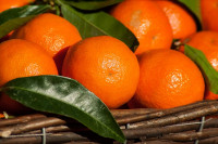 Inspekcija RS zabranila uvoz više od 20 tona mandarina iz Turske