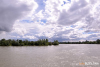 Bijeljina: Drina i dalje U PORASTU, u večernjim časovima očekuje se izlivanje u priobalnim područjima