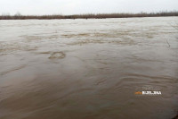 Zvornik: Drina se izlila na poljoprivredno zemljište, večeras veći talas