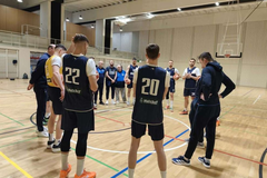 Košarkaši BiH u Švajcarskoj kompletni: Priključili se Musa i Kamenjaš