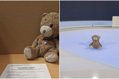 Dirljiva priča: Dječak iz Srbije izgubio medu u Zagrebu, pronalazač ga "oživio" (FOTO)