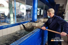 Vaskršnji post u Srpskoj: Cijene ribljih proizvoda i povrća ubrzano rastu i tjeraju građane da kupuju na komad