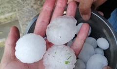 Oštećeni usjevi u Zvorniku, padao grad veličine jajeta