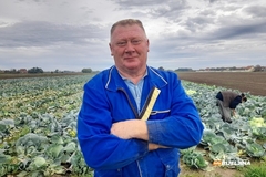 Semberska porodica proizvela 26 tona kupusa: Svi kojim je skupo neka vide pošto su cigare (FOTO)