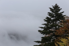 Sutra oblačno, maglovito i hladnije