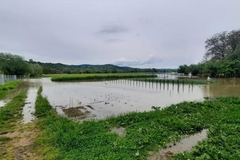 Vanredne mjere u Kostajnici, sve službe u pripravnosti