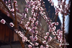 Danas sunčano uz umjerenu oblačnost