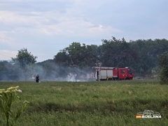 Bijeljina: Požar zahvatio obilaznicu, približava se kućama (FOTO)