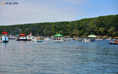 Bijeljina: Savska regata 28. jula