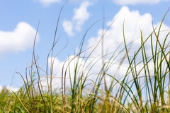 Sunčano i vrlo toplo, uz prolaznu oblačnost