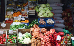 Prave li Banjalučani zimnicu ili će omiljene zimske salate biti u teglama iz marketa