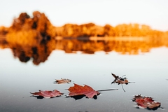 Suvo na sjeveru i istoku, u ostalim krajevima kiša