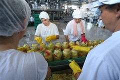 Izvještaj za 2021: Mala i srednja preduzeća u Srpskoj povećala broj zaposlenih