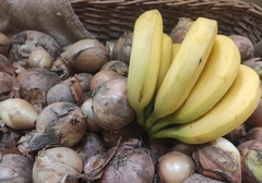 Kila luka kao 2 kile banana: Evo zašto je usred sezone domaće povrće PAPRENO SKUPO