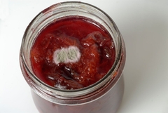 Može li se jesti džem ako se na vrhu uhvatila buđ