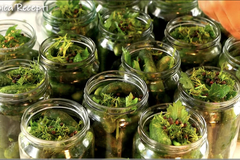 NAJLJEPŠI KISELI KRASTAVČIĆI, KOJE STE IKAD OKUSILI: Ova zimnica pretvoriće zimsku trpezu u čistu magiju!