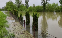 Potop u Bosanskoj Krupi "Dijete se na parkingu igralo, nakon dva sata nivo vode na tom mjestu bio je metar i po"