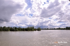 Drina se izlila na poljoprivredno zemljište u Zvorniku