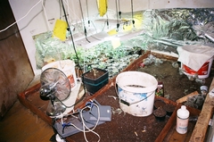 U Visokom otrkivena laboratorija za proizvodnju droge