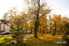 Sutra pretežno sunčano