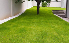 Evo kako stvoriti savršen travnjak za ljeto