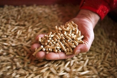 Tržište peleta u Republici Srpskoj stabilno uprkos rastu cijena