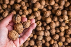 Komšinici krala orahe, mora na robiju