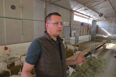 Četiri brata ostala na svom ognjištu i izgradila uspješnu farmu (VIDEO)