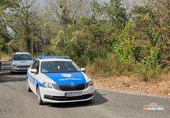 Policija se oglasila o požaru u Amajlijama i Dvorovima