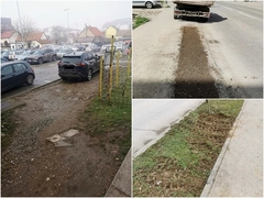“Komunalac” Bijeljina: Pojedinci gaze travnjake, bacaju otpad i oštećuju stabla (FOTO)
