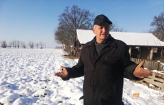 Ozimi usjevi u dobrom stanju - Semberske ratare brinu poskupljenja repromaterijala (FOTO)