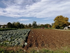 PROMOCIJA I U BIJELJINI Javni poziv za dodjelu bespovratnih sredstava poljoprivrednicima