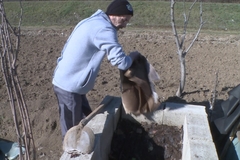 Bijeljinac uz pomoć glista pravi ekološko đubrivo: Malo obaveza i ulaganja, a puno benefita (FOTO)