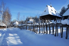 Zimovanje u Srbiji sve skuplje, na Zlatiboru brvnare i do 100.000 evra