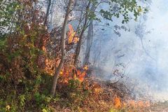 Gorjeli šuma, kuća i vikendica u Šekovićima