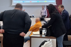 Osuđena "kućna pomoćnica" iz BiH koja je ojadila austrijskog penzionera
