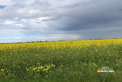 Balkan na udaru ekstremnih vremenskih promjena: Prvo ljetnje vrućine, zatim hladni talas i snijeg