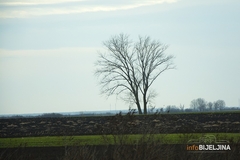 BESPOVRATNA SREDSTVA Evropska unija raspisala javni poziv za poljoprivrednike