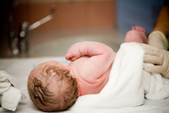 Bijeljina bogatija za sedam beba