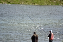 UŽIVAJTE U SUNČANOJ NEDJELJI Temperatura do 21 stepen