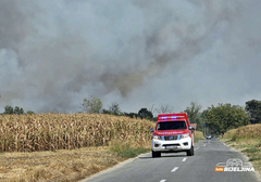 U Srbiji aktivno 20 požara, jedan van kontrole, jak vjetar prijeti da rasplamsa vatru