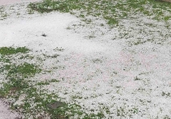 Snažno nevrijeme pogodilo Tuzlu (FOTO)