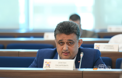 Lazarević: Treba li da podnesemo inicijativu da nam se realizuju inicijative?