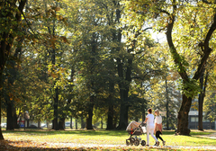 Djecu iz Srpske nisu usvajali strani državljani