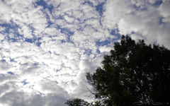 Sutra umjereno oblačno