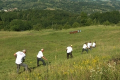 Ne daju da ručne kose padnu u zaborav