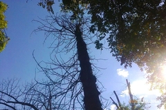 Danas suvo i malo toplije