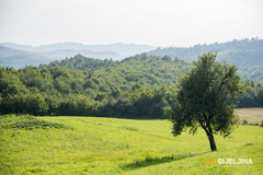 Meteorolozi otkrili kakvo nas vrijeme očekuje u narednim danima